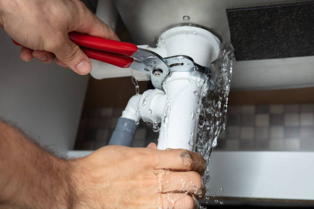 Best Flooded house restoration  in Norristown, PA