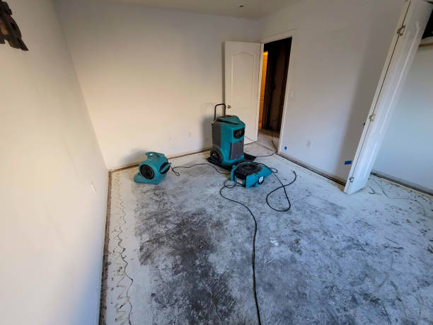 Best Water damage restoration near me  in Norristown, PA