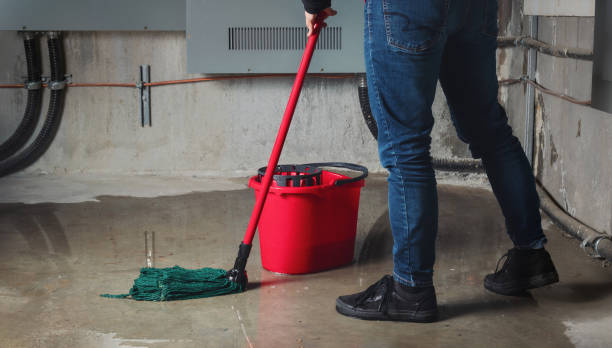 Best Professional water damage repair  in Norristown, PA