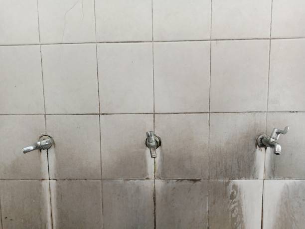Best 24/7 water damage repair  in Norristown, PA