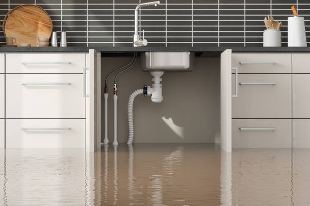 Best Water damage cleanup near me  in Norristown, PA